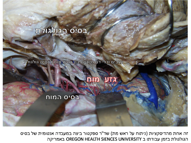 השתלמות